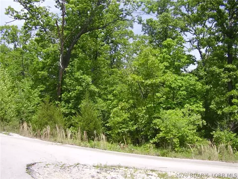 21 Silver Spur Ct, Camdenton, MO 65020 photo 9