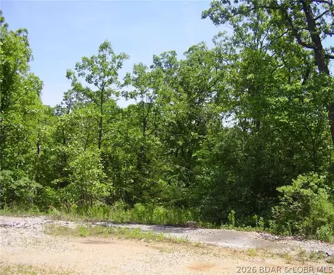 21 Silver Spur Ct, Camdenton, MO 65020 photo 10