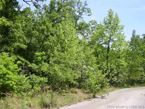 21 Silver Spur Ct, Camdenton, MO 65020 photo 4