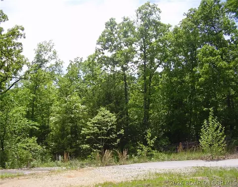 21 Silver Spur Ct, Camdenton, MO 65020 photo 12