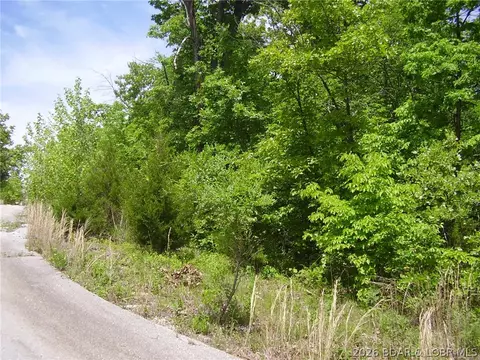 21 Silver Spur Ct, Camdenton, MO 65020 photo 6
