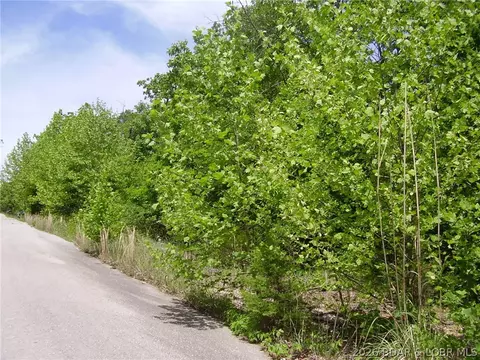 21 Silver Spur Ct, Camdenton, MO 65020 photo 3