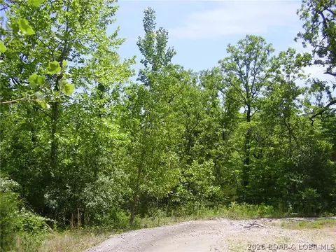 21 Silver Spur Ct, Camdenton, MO 65020 photo 11