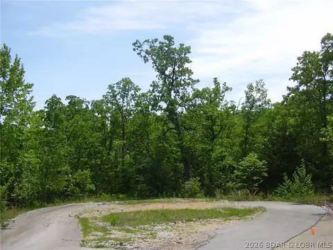 21 Silver Spur Ct, Camdenton, MO 65020 photo 2