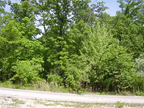 21 Silver Spur Ct, Camdenton, MO 65020 photo 8