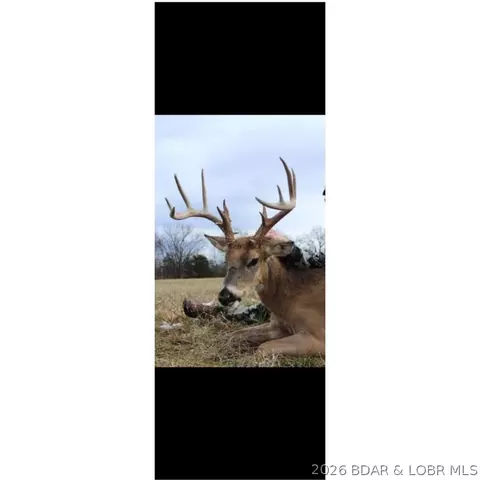 tbd Beechnut Rd, Stover, MO 65078 photo 22
