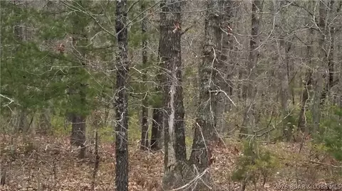 tbd Mo State Hwy W, Versailles, MO 65011