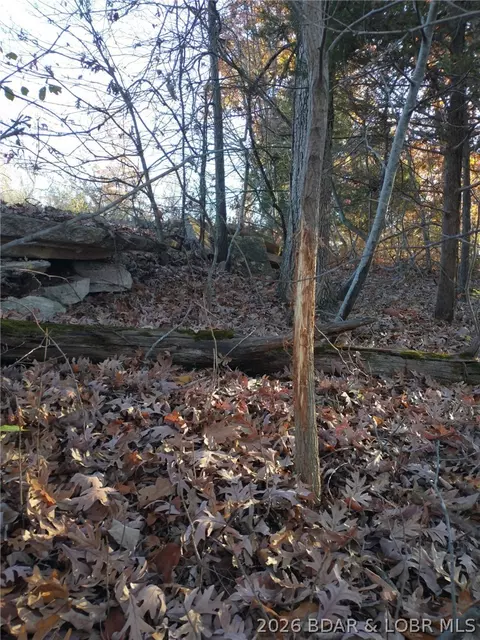 9 05 Acre Lot On Concrete Rd, Camdenton, MO 65020 photo 24