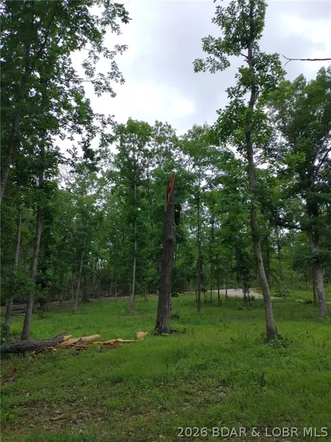 9 05 Acre Lot On Concrete Rd, Camdenton, MO 65020 photo 20