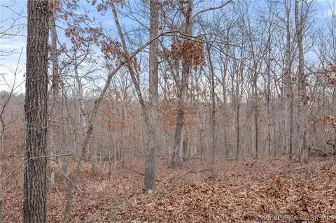 9 05 Acre Lot On Concrete Rd, Camdenton, MO 65020 photo 8