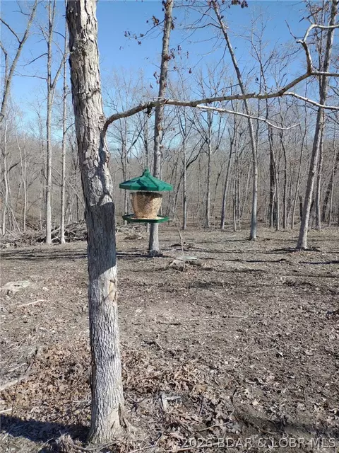 9 05 Acre Lot On Concrete Rd, Camdenton, MO 65020 photo 18