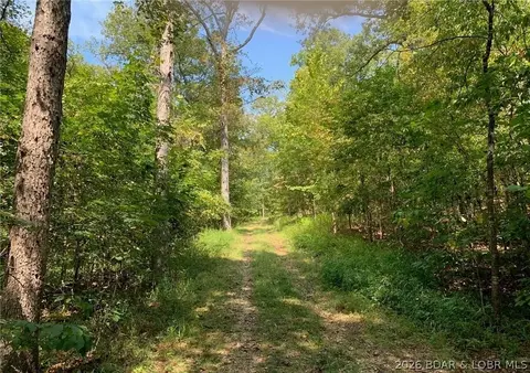 17 Ac Forrest Hill Ln, Gravois Mills, MO 65037