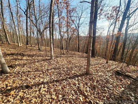 lot3 State J Rd, Roach, MO 65787 photo 9