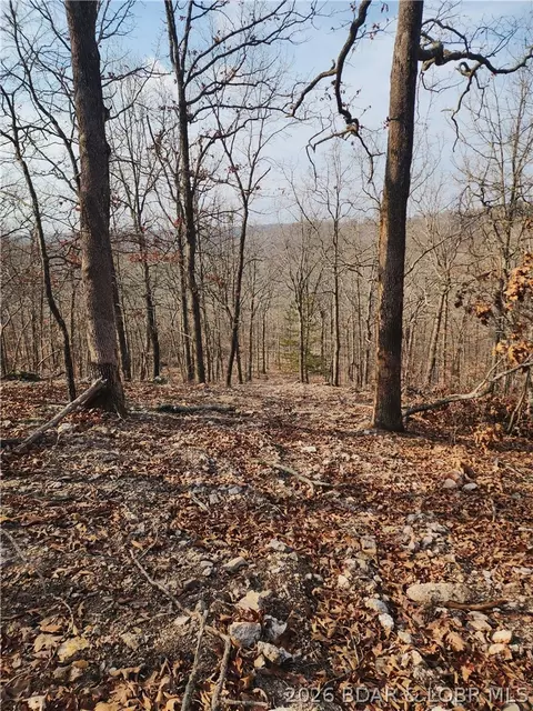 lot4 State J Rd, Roach, MO 65787 photo 22