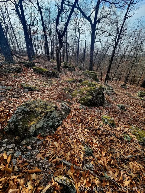 lot7 State J Rd, Roach, MO 65787 photo 21