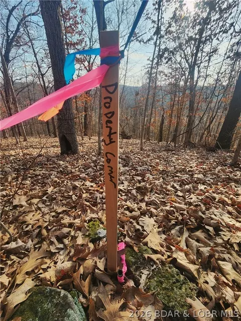 lot7 State J Rd, Roach, MO 65787 photo 10