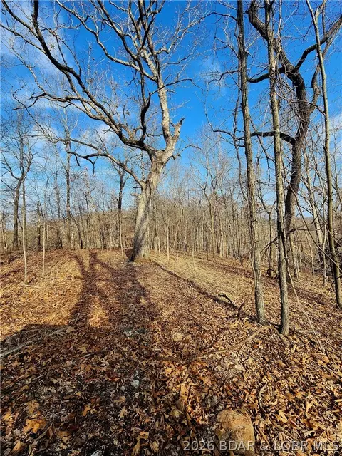 lot8 State J Rd, Roach, MO 65787 photo 16