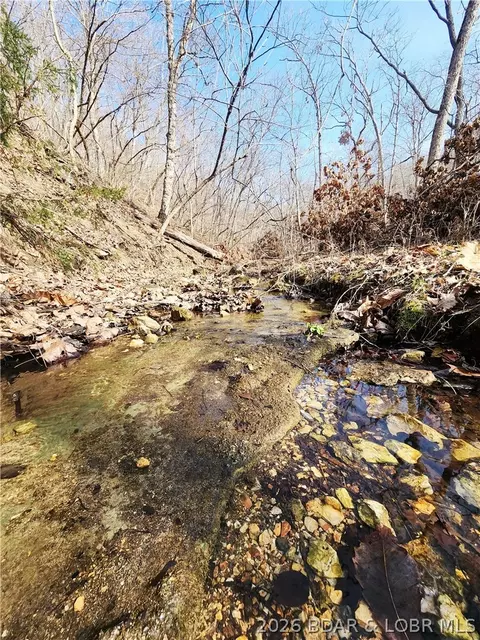 lot8 State J Rd, Roach, MO 65787 photo 28