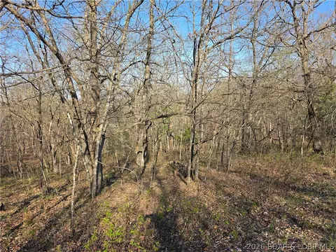 galvin place, Edwards, MO 65326 photo 3
