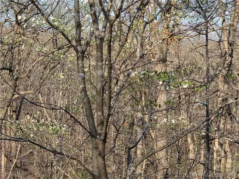 galvin place, Edwards, MO 65326 photo 6
