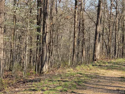 galvin place, Edwards, MO 65326 photo 7