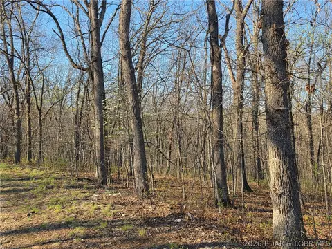 galvin place, Edwards, MO 65326 photo 11