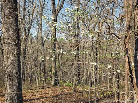 galvin place, Edwards, MO 65326 photo 13