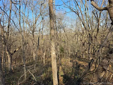 galvin place, Edwards, MO 65326 photo 19