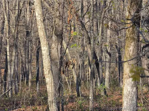 galvin place, Edwards, MO 65326 photo 12