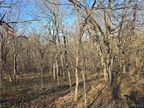 galvin place, Edwards, MO 65326 photo 17