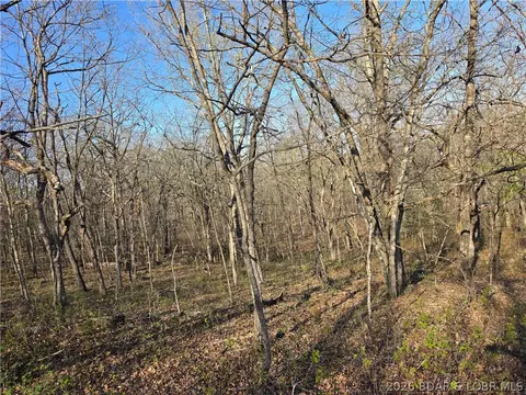 galvin place, Edwards, MO 65326 photo 2