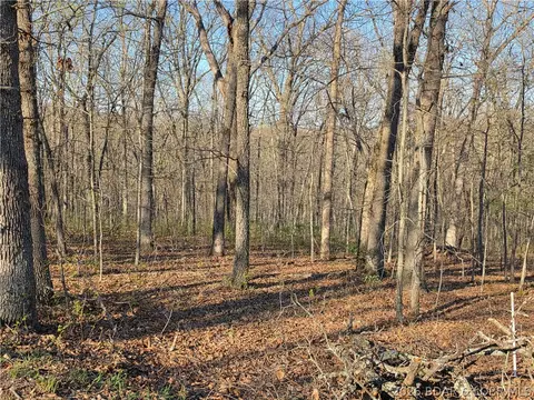 galvin place, Edwards, MO 65326 photo 8