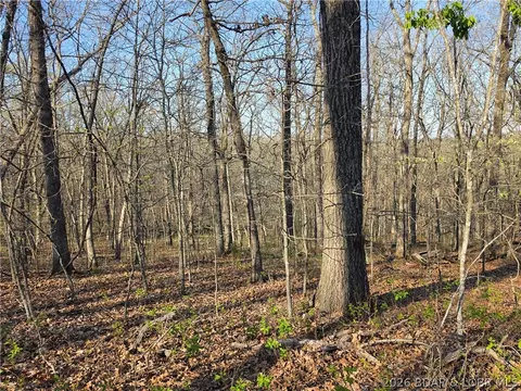 galvin place, Edwards, MO 65326 photo 18