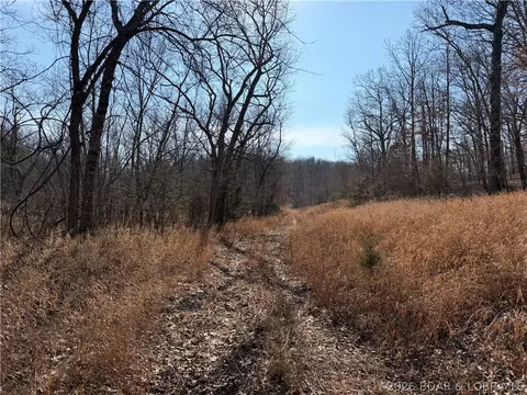 Copperhead Holler, Roach, MO 65787 photo 23
