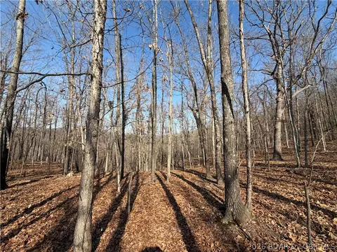 Copperhead Holler, Roach, MO 65787 photo 3