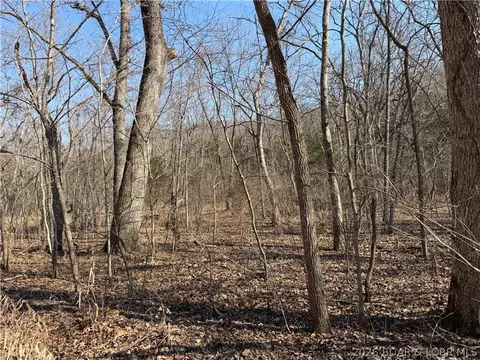 Copperhead Holler, Roach, MO 65787 photo 24