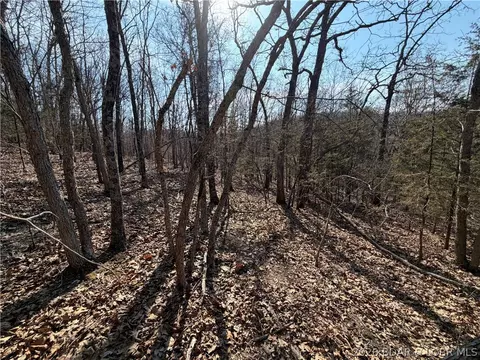 Copperhead Holler, Roach, MO 65787 photo 14