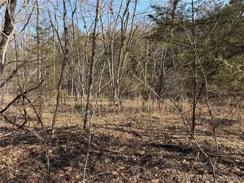 Copperhead Holler, Roach, MO 65787 photo 21