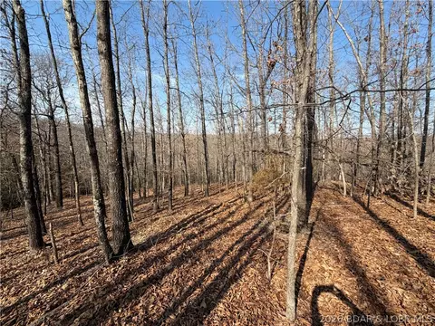 Copperhead Holler, Roach, MO 65787 photo 12