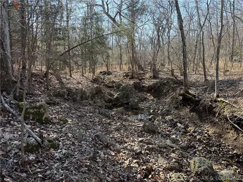 Copperhead Holler, Roach, MO 65787 photo 16