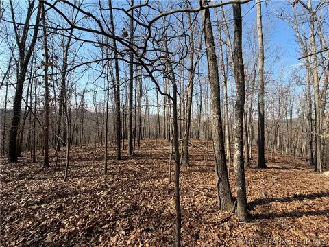 Copperhead Holler, Roach, MO 65787 photo 4