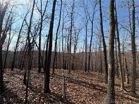 Copperhead Holler, Roach, MO 65787 photo 9