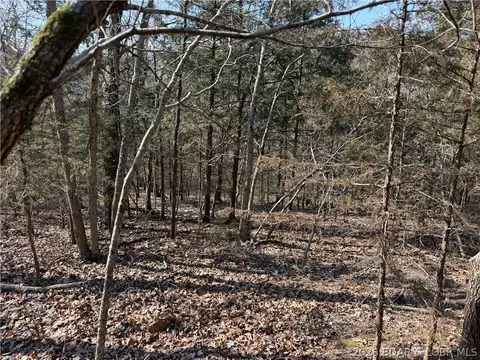 Copperhead Holler, Roach, MO 65787 photo 13