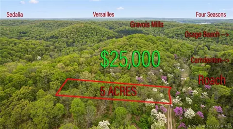 Copperhead Holler, Roach, MO 65787