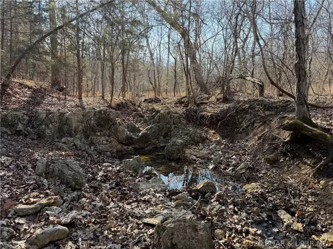 Copperhead Holler, Roach, MO 65787 photo 18