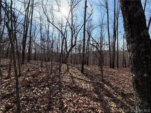 Copperhead Holler, Roach, MO 65787 photo 5