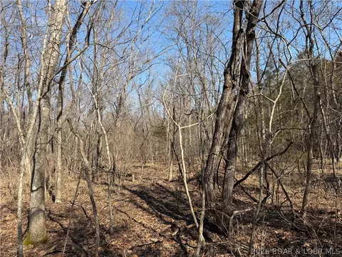 Copperhead Holler, Roach, MO 65787 photo 19