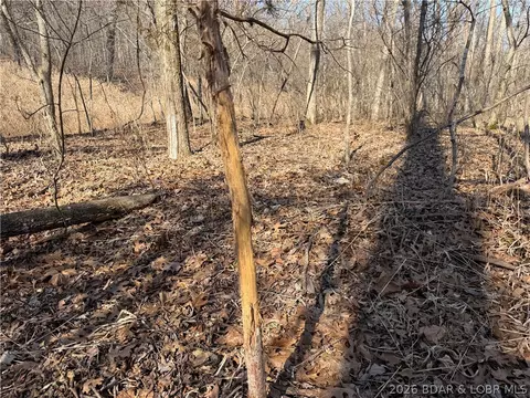Copperhead Holler, Roach, MO 65787 photo 22