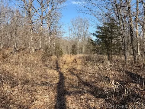 Copperhead Holler, Roach, MO 65787 photo 26