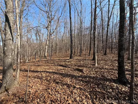 Copperhead Holler, Roach, MO 65787 photo 7